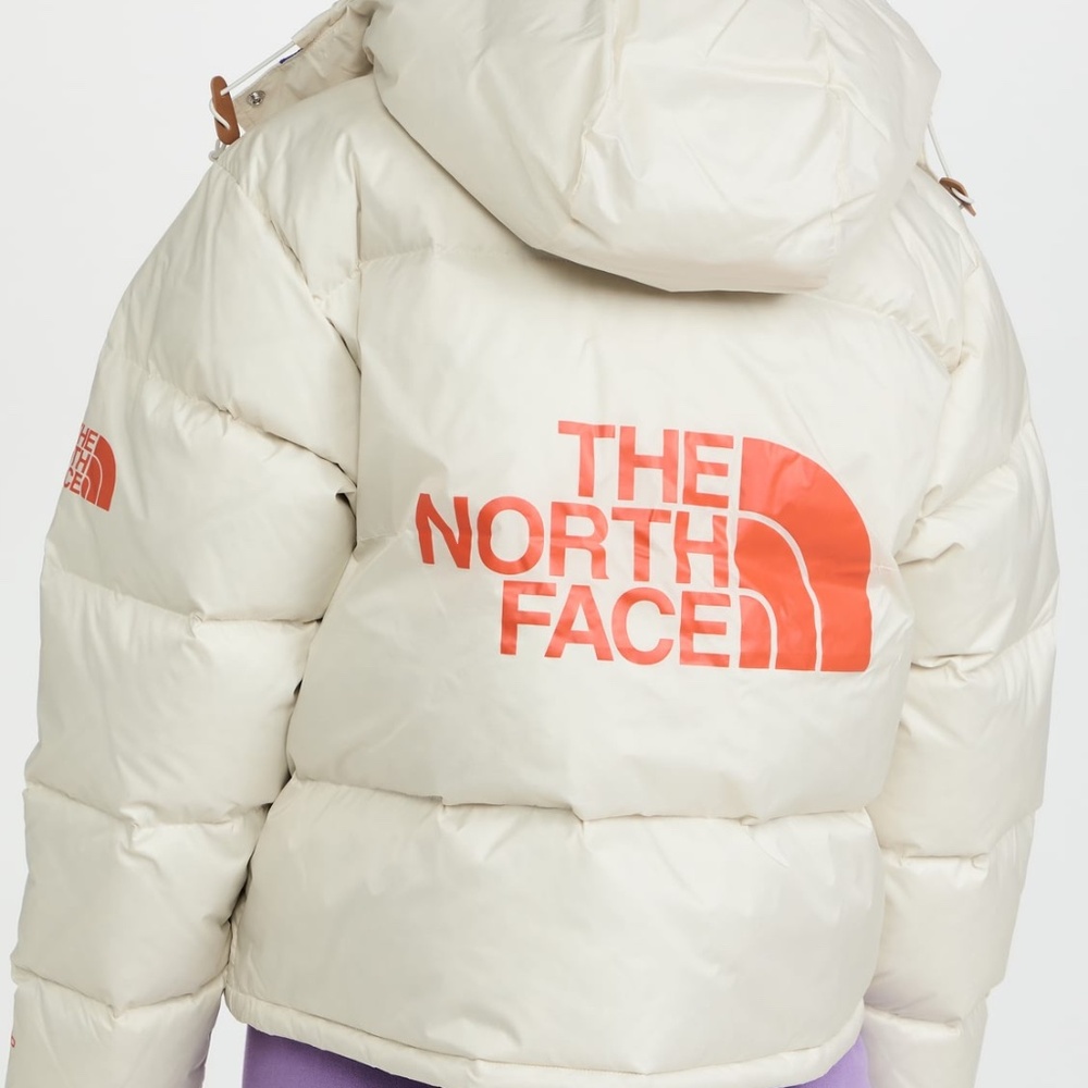 The North Face Colorblock Sierra Crop Parka